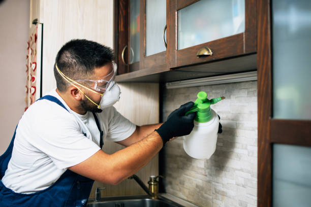 Best Wasp Removal Services  in Mansfield, MO