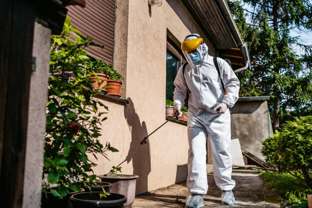 Best Affordable Pest Control Services  in Mansfield, MO