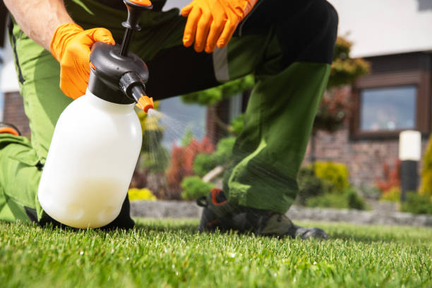 Best Flea Control Services  in Mansfield, MO
