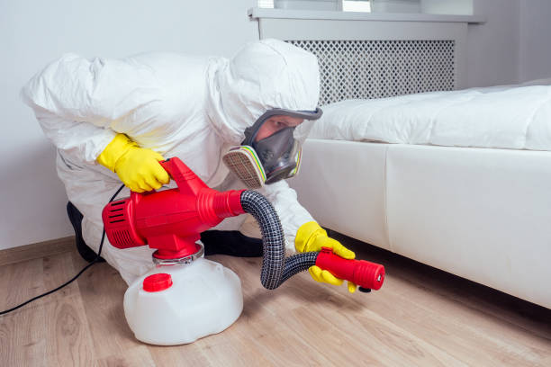 Trusted Mansfield, MO Pest Control Experts