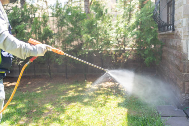 Best Insect Control  in Mansfield, MO