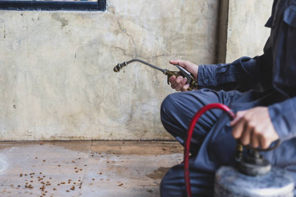 Best Exterminator Services  in Mansfield, MO